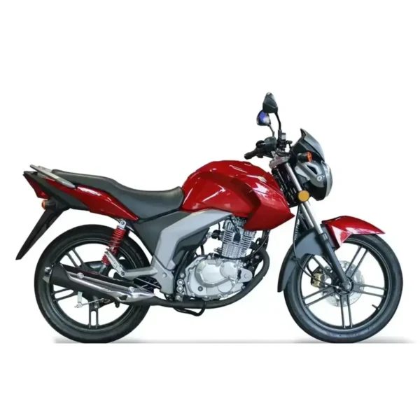 Suzuki GSX 125